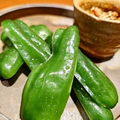 夏限定!むげんのパリピ