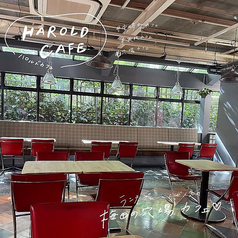 HAROLD CAFE ～ハロルドカフェ～の雰囲気1