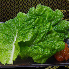 チシャ菜/サラダ菜/サニーレタス/巻き野菜セット 各