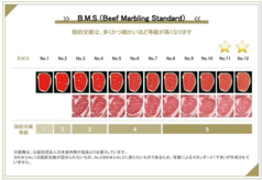 肉料理 嘉牛のおすすめポイント1