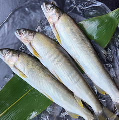 鮎の塩焼き