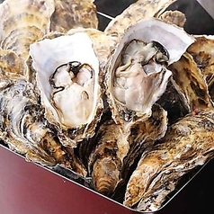 居酒屋 龍のすの特集写真