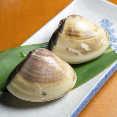 本はまぐり(1個)