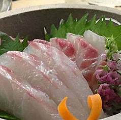真鯛のお造り/大トロ〆サバのお造り