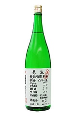 亀泉　純米吟醸生原酒