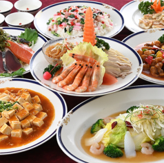 中国四川料理 又来軒 福山ニューキャッスル店のコース写真