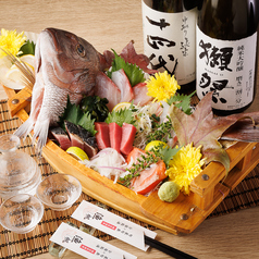 日替わり旬のおすすめ２０種