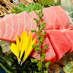 本マグロの断面刺し ハーフ