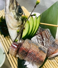 愛媛産　鯵の姿造り