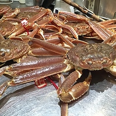 旬菜 青山のコース写真