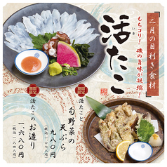 おとなの大漁旗 中央町店の写真