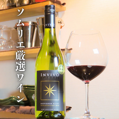 松 MATSU特集写真1