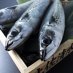 高知のブランド「土佐の清水さば」の写真