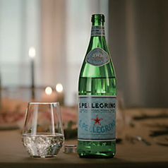 サンペレグリノ (炭酸)500ml