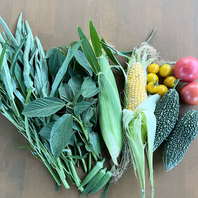 畑で育てた野菜が食べられることも！