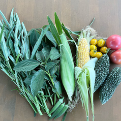 畑で育てた野菜が食べられることも！