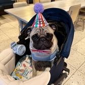 LF CAFE エルエフカフェ 虎ノ門ヒルズ駅の雰囲気2