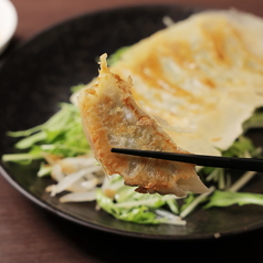 鉄板焼餃子 6ケ
