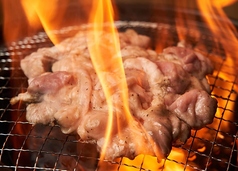 0秒レモンサワー 仙台ホルモン焼肉酒場 ときわ亭 多摩センター店の特集写真