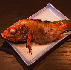 北海道産 きんき　一尾