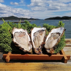 ここやの特集写真