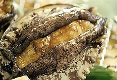 活アワビバター焼き