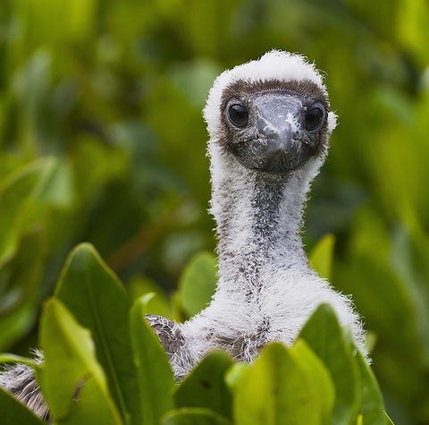 元氣コーヒーの写真