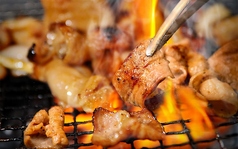 0秒レモンサワー 仙台ホルモン焼肉酒場 ときわ亭 多摩センター店の特集写真