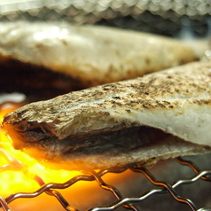 北海道根室産 コマイ焼き