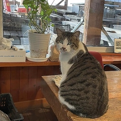 吉田観光農場の雰囲気1