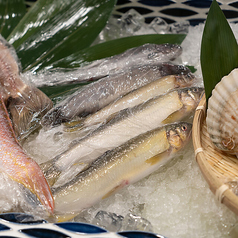 季節のお魚 小