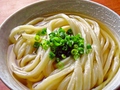 料理メニュー写真 だしかけうどん各種