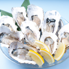 カキと肴 ちゅるりの特集写真