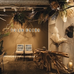 TOLAH UMEDA トーラの特集写真