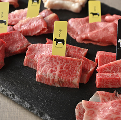 熟成和牛焼肉 エイジング ビーフ 渋谷店の特集写真