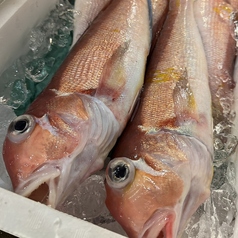 町寿司いちもんめ 金沢駅前の特集写真