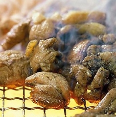 ここちや本店 宮崎地鶏や海鮮や鰻やらの特集写真