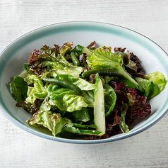 チョレギサラダ