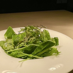 露地栽培で味の濃いベビーリーフをたっぷりと