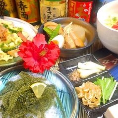 沖縄ダイニング かりゆしの特集写真
