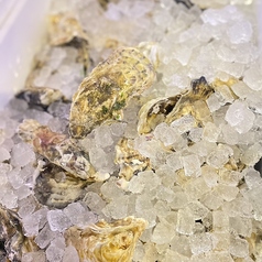 宮城県産 真牡蠣