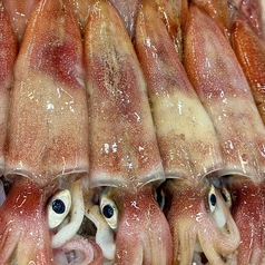 町寿司いちもんめ 金沢駅前の特集写真