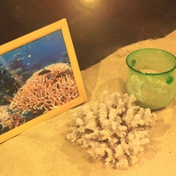 沖縄の海を思わせる白砂やサンゴ