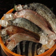 金沢直送！鮮魚の「お造り」と石川の銘酒でおもてなし◎