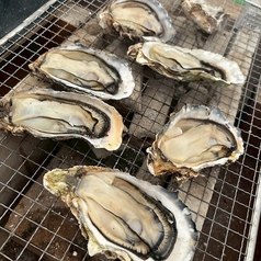 ここやの特集写真