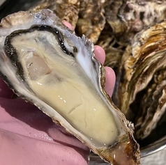 ここやの特集写真