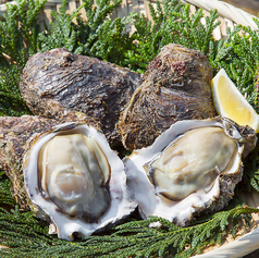 町寿司いちもんめ 金沢駅前の特集写真