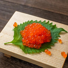 イクラちょい盛り