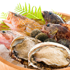 旬の鮮魚を堪能できる贅沢な海鮮料理をご用意しています
