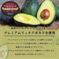 AVOCADO HOUSE NAMBA アボカドハウス 難波店(難波/居酒屋)＜ネット予約